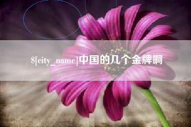 咸阳中国的几个金牌啊