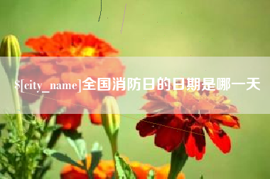 咸阳全国消防日的日期是哪一天