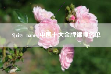 咸阳中国十大金牌律师名单