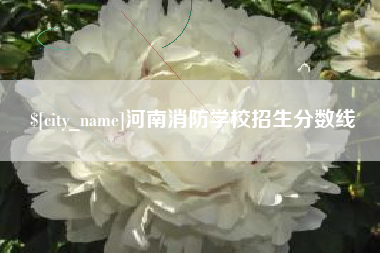 咸阳河南消防学校招生分数线