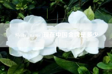 咸阳现在中国金牌是多少