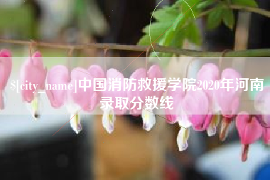 咸阳中国消防救援学院2020年河南录取分数线