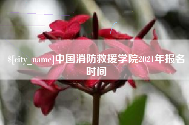 咸阳中国消防救援学院2021年报名时间