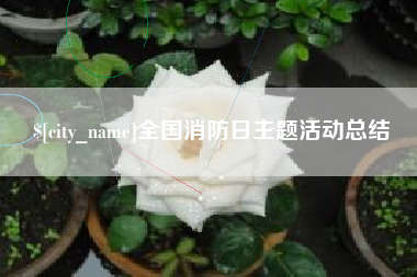 咸阳全国消防日主题活动总结