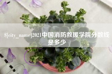 咸阳2021中国消防救援学院分数线是多少