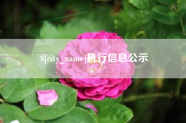 咸阳执行信息公示