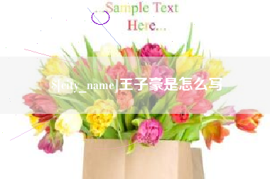 咸阳王子豪是怎么写