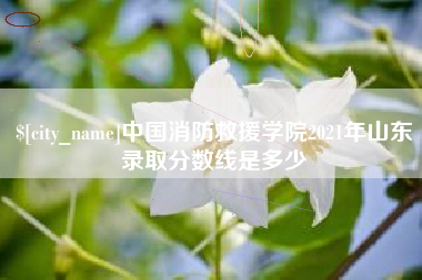 咸阳中国消防救援学院2021年山东录取分数线是多少