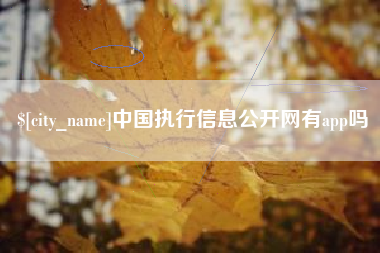 咸阳中国执行信息公开网有app吗