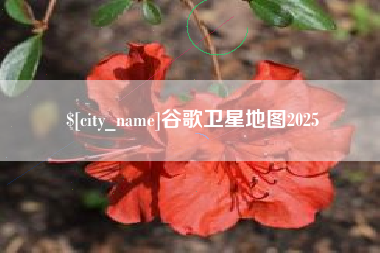咸阳谷歌卫星地图2025