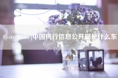 咸阳中国执行信息公开网是什么东西