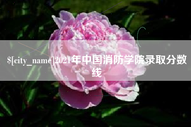 咸阳2021年中国消防学院录取分数线