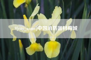 咸阳中国消防器材商城