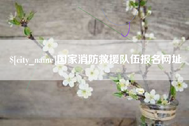 咸阳国家消防救援队伍报名网址