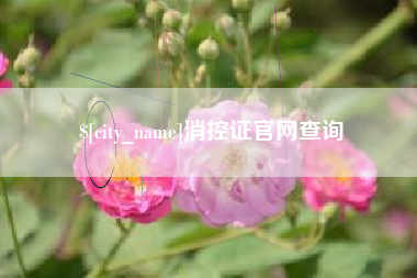 咸阳消控证官网查询