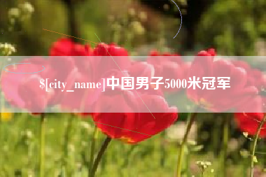 咸阳中国男子5000米冠军