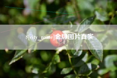 咸阳金牌图片真实