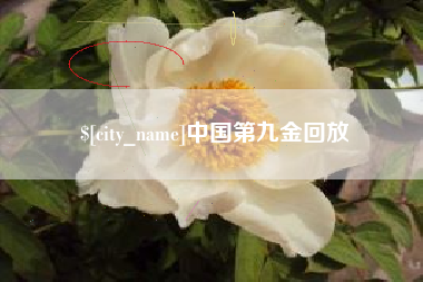 咸阳中国第九金回放