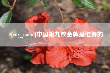 咸阳中国第九枚金牌是谁得的