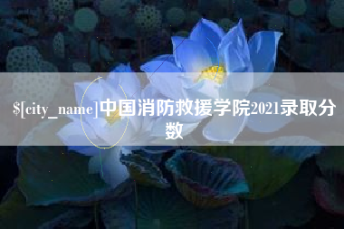 咸阳中国消防救援学院2021录取分数