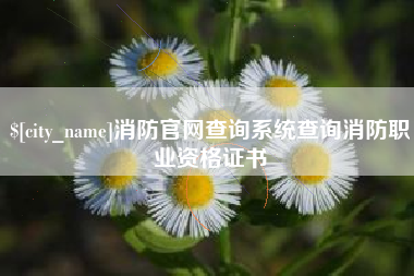 咸阳消防官网查询系统查询消防职业资格证书