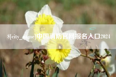 咸阳中国消防官网报名入口2024