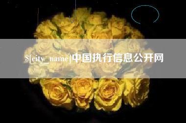 咸阳中国执行信息公开网