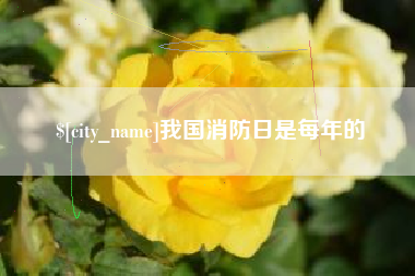 咸阳我国消防日是每年的