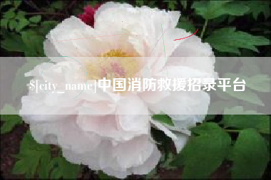 咸阳中国消防救援招录平台