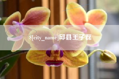 咸阳邱县王子磊