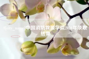 咸阳中国消防救援学院2020年录取结果