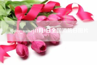 咸阳11月9日全国消防日图片
