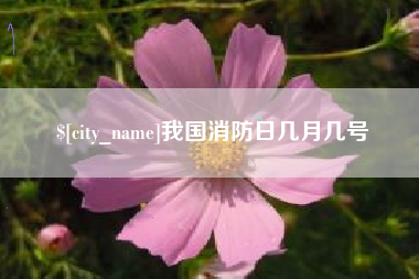 咸阳我国消防日几月几号