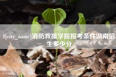 咸阳消防救援学院报考条件湖南招生多少分