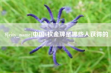 咸阳中国6枚金牌是哪些人获得的