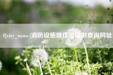 咸阳消防设施操作员证书查询网址