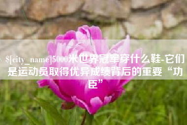咸阳5000米世界冠军穿什么鞋-它们是运动员取得优异成绩背后的重要“功臣”