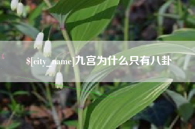 咸阳九宫为什么只有八卦