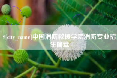 咸阳中国消防救援学院消防专业招生简章