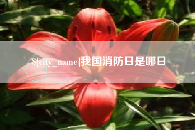 咸阳我国消防日是哪日