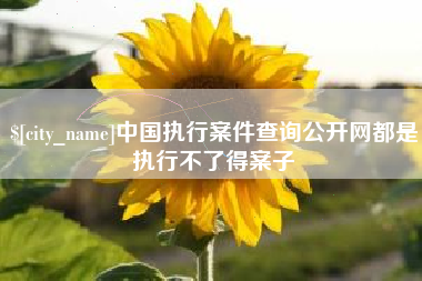 咸阳中国执行案件查询公开网都是执行不了得案子