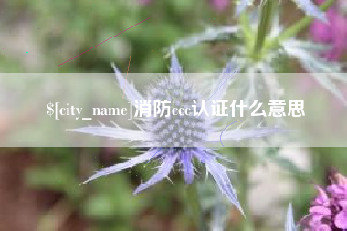 咸阳消防ccc认证什么意思
