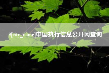 咸阳中国执行信息公开网查询