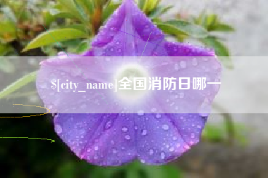 咸阳全国消防日哪一