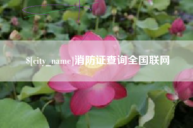 咸阳消防证查询全国联网