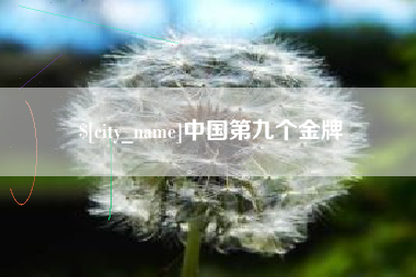 咸阳中国第九个金牌