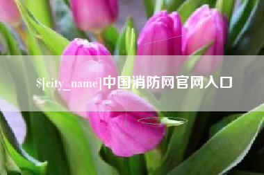 咸阳中国消防网官网入口