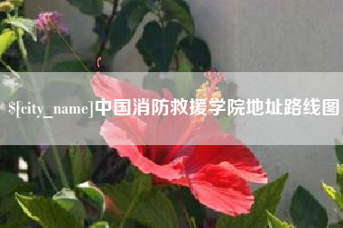 咸阳中国消防救援学院地址路线图