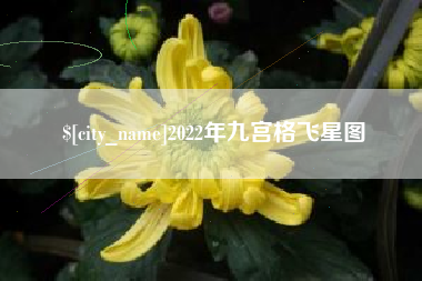 咸阳2022年九宫格飞星图
