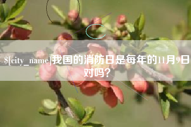 咸阳我国的消防日是每年的11月9日对吗？